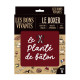 BOXER "LE PLANTE DE BATON" M