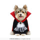 CAPE POUR CHIEN S