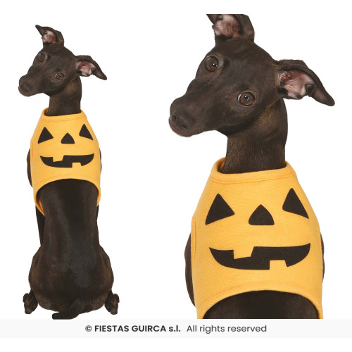 COSTUME CITROUILLE CHIEN S