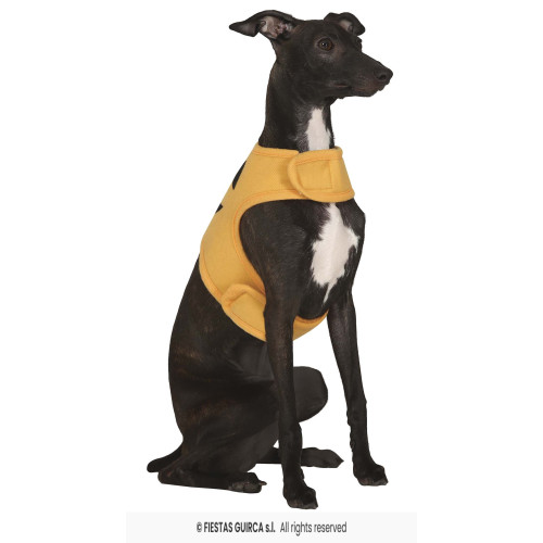 COSTUME CITROUILLE CHIEN S