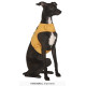 COSTUME CITROUILLE CHIEN S