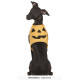 COSTUME CITROUILLE CHIEN S