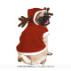 COSTUME CHIEN RENNE